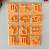 12 Zodiac Sign Cookie Stamp Set
